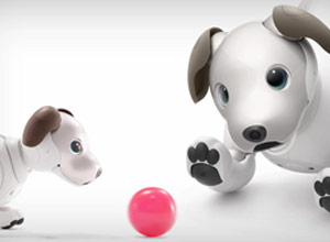 香蕉视频黄版整機香蕉视频观看